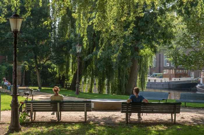 View of a park with many green trees and two people, each sitting on a bench